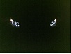 Avatar utilizator